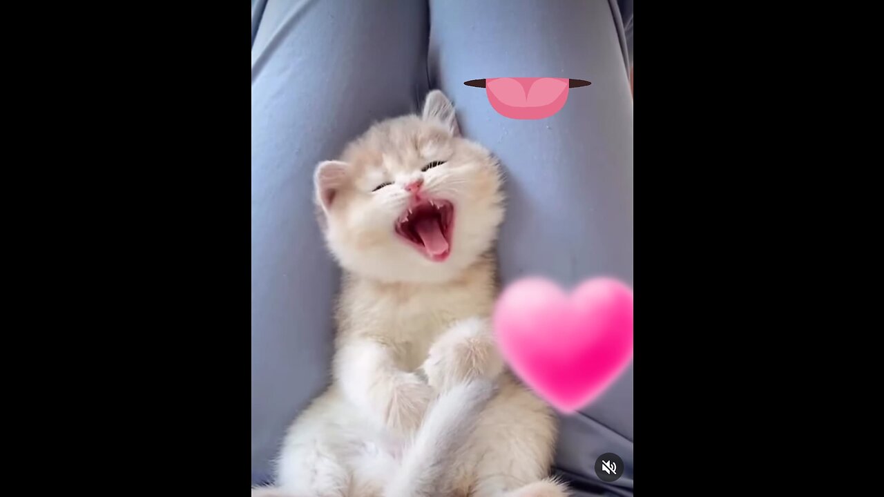 Babycats