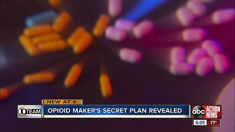 State, drugmaker attorneys meet for first hearing in Florida opioid lawsuit