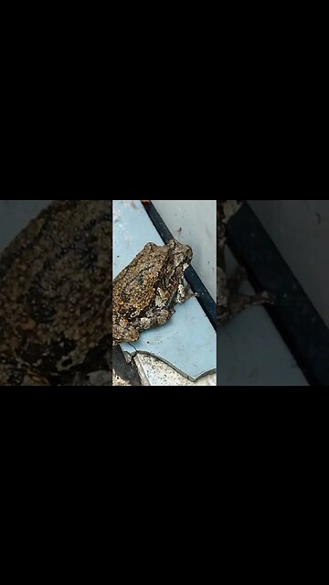 First customers of the day.. #fypシ Rofl.