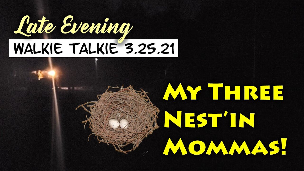 Walkie Talkie : A Good Late Evening 3.25.21 & My Three Nesting Mommas!