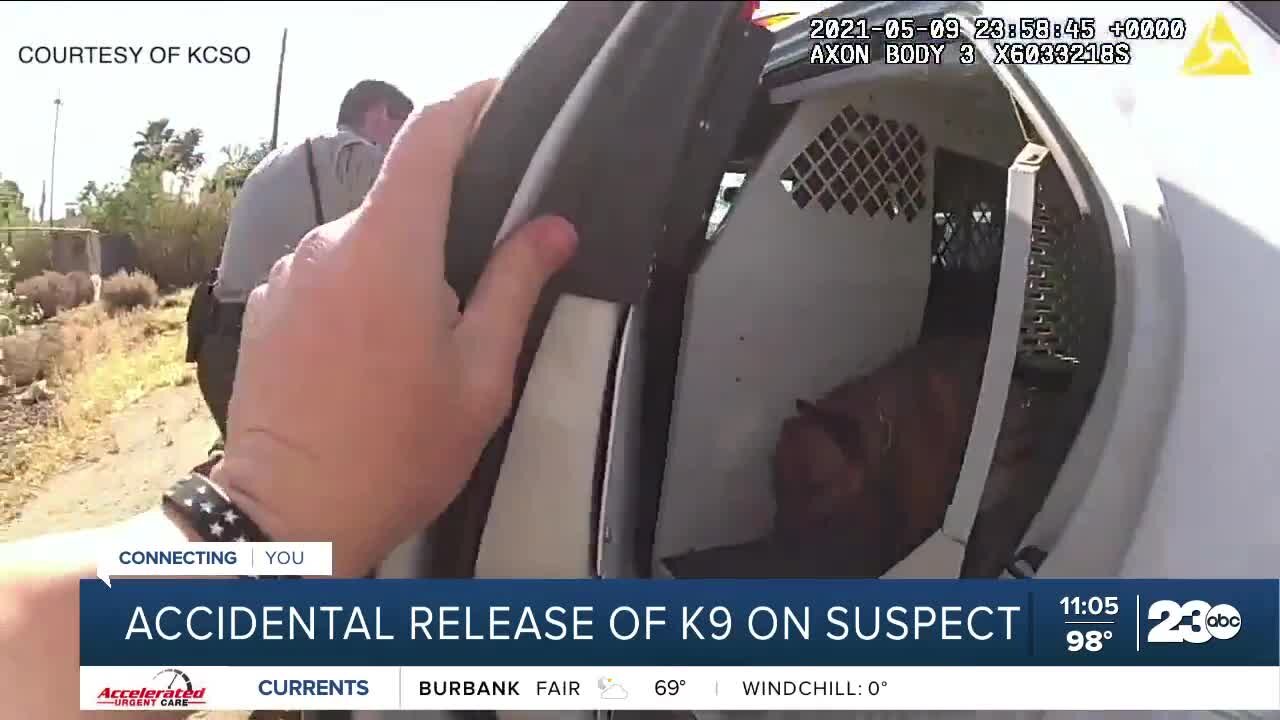 Accidental release of K-9 on suspect