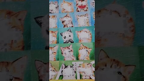 So many kitties! #puzzle #shorts #cat #jigsawpuzzle