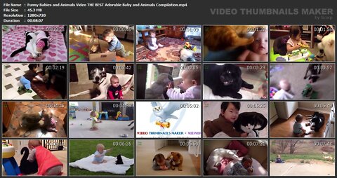 Funny Babies and dogs Video🐶👶🏻🐱🐶👶🏻🐱