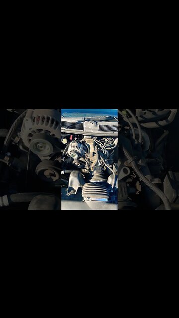 Purrs like a kitten.