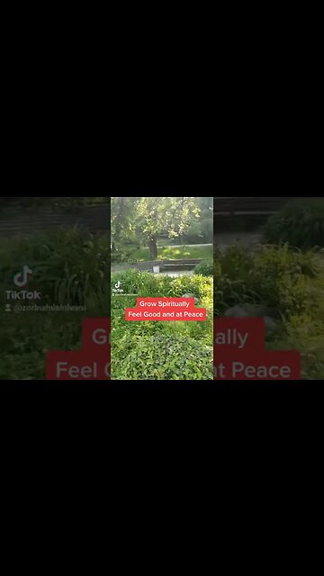 Resolve Energy Blocks with Joe and Cindy Foxdreamer #shorts #spiritualawakening #energyclearing