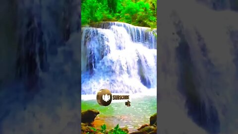 AWESOME Piano Music & RELAXING Water Sounds 🎹🌀 Video Link Below