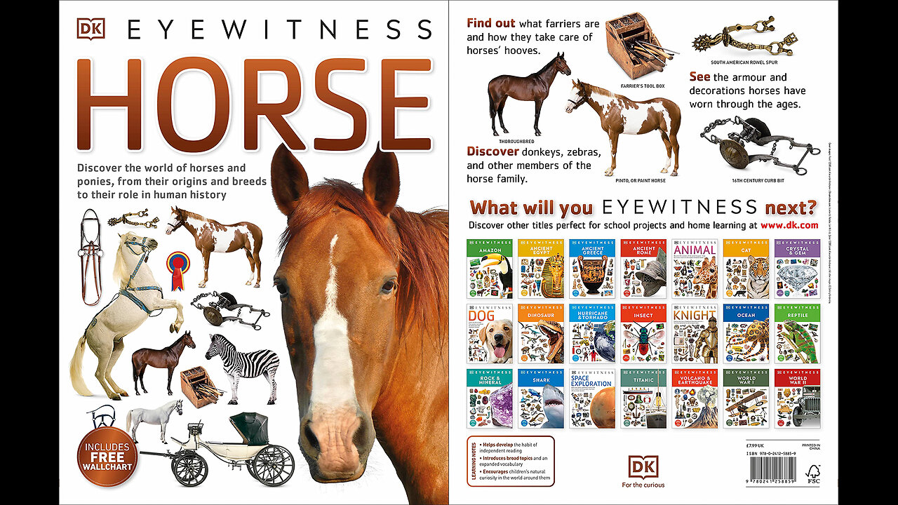 Eyewitness Horse