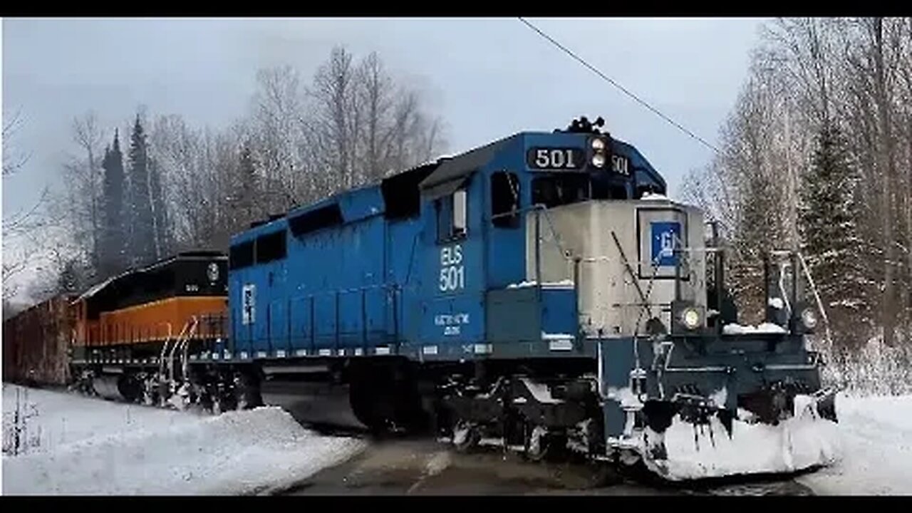 Monday Freight Train w/ Pulpwood Packed Blaring Across Road! #trains #trainvideo | Jason Asselin