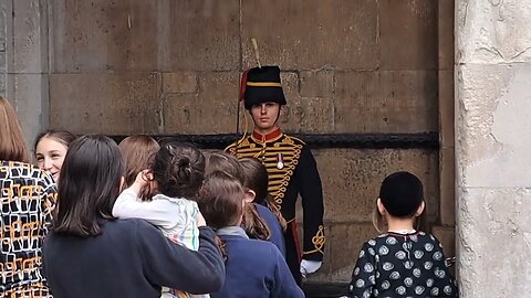 King's Troop bombarded with question kindly answers by nodding and shaking his head #thekingsguard