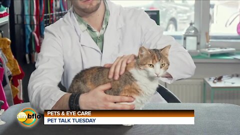 Pet Talk Tuesday - Pets and Eye Care