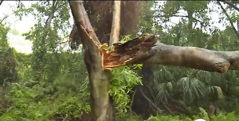 Storms causing damage in Palm Beach Gardens