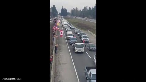 MASSIVE CROWDS IN OTTAWA, CANADA SUPPORTING THE TRUCKERS TODAY!