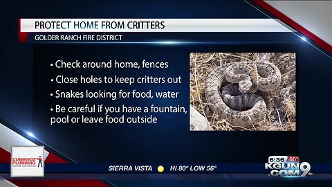 Keeping your home safe from critters