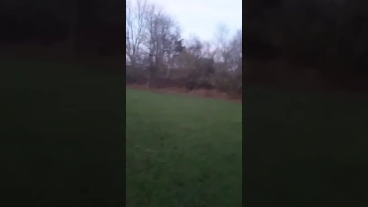 Stever Lucky and Leon