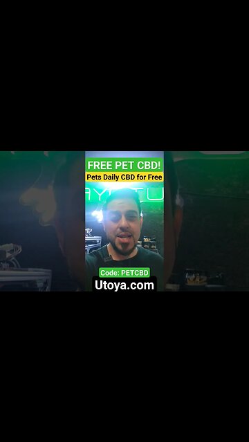 How to Prepare Your Dog for Fireworks - FREE CBD for Pets