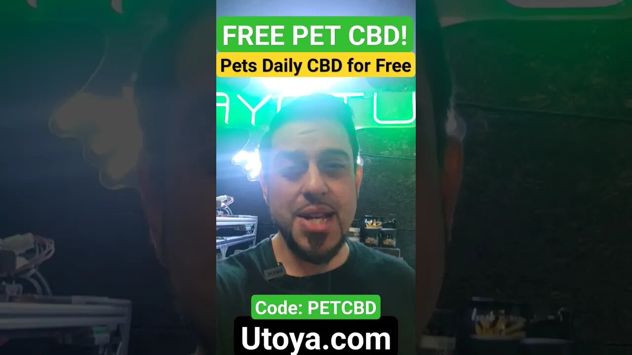 How to Prepare Your Dog for Fireworks - FREE CBD for Pets