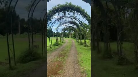 Eden Nature Park Mountain Resort Trails 2022