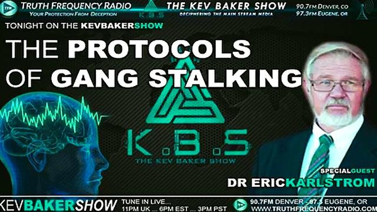 GANG STALKING II - The Protocols Of Gang Stalking with Dr Eric Karlstrom