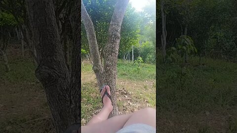 Natureza