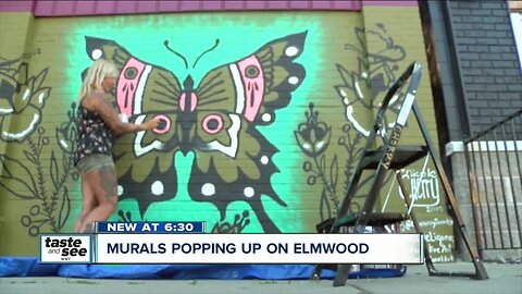 New festival to celebrate everything eco-friendly in Buffalo