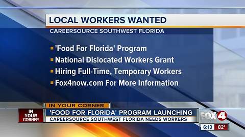 "Food for Florida" program looks for 200 workers