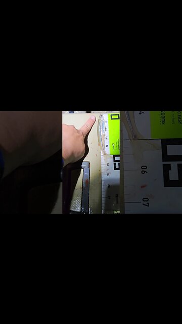 Big Spearing size of baby bass lol