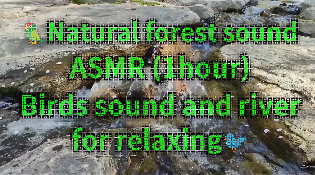 Natural forest sound/🏕ASMR (1hour) Birds sound and river for relaxing sounds🏞