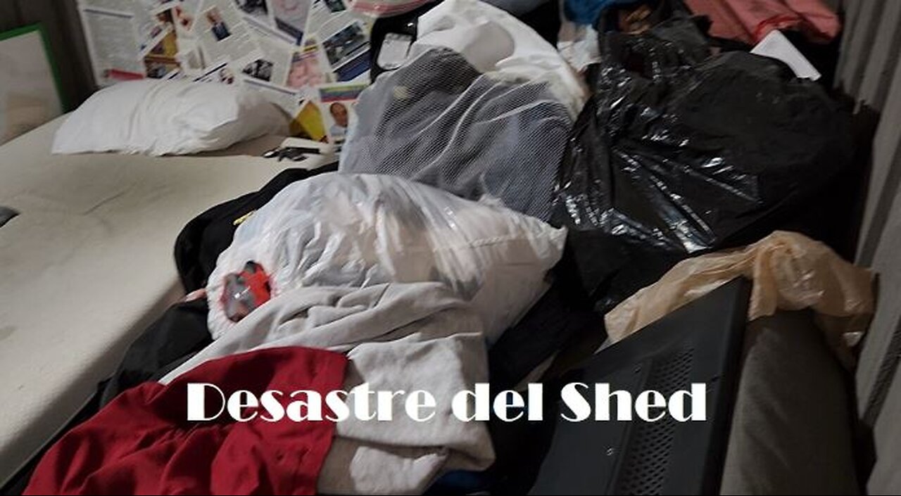 2023 Desastre del shed