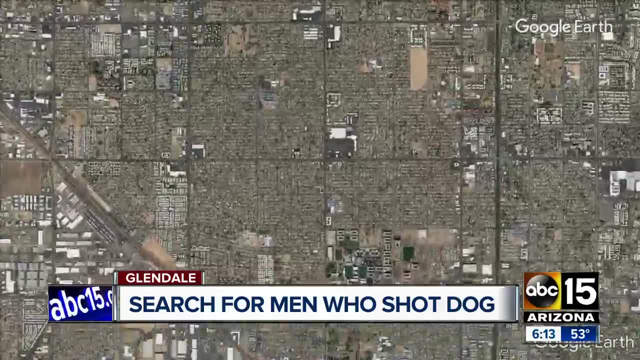 Police searching for two men who allegedly provoked, shot dog in the head at west Phoenix park