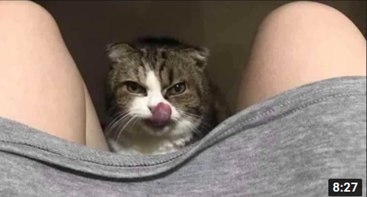 Cute pets that are guaranteed to brighten your day🥰