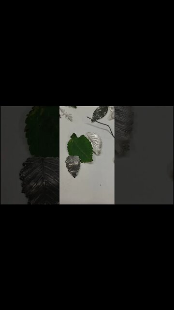 Leaves from our backyard cast is .999 silver from PMC