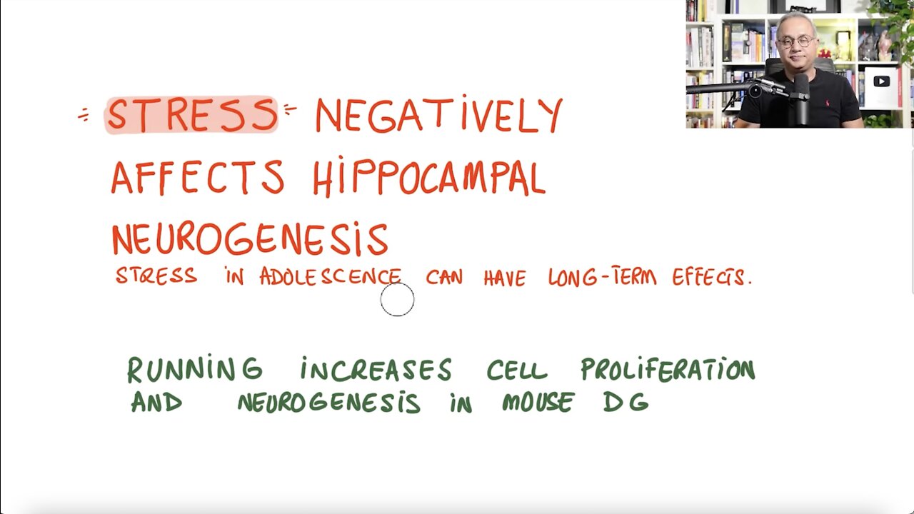 Brain Fog and Neurogenesis