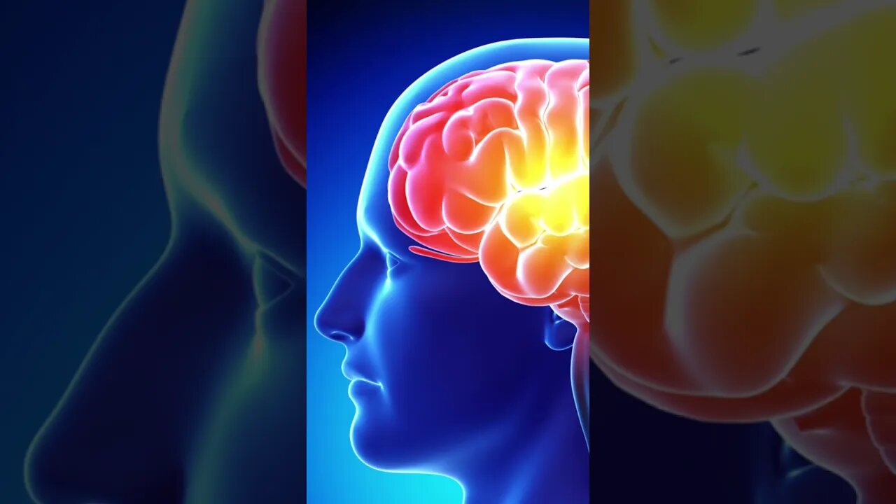 تنمية الذاكرة خطيرة جدا