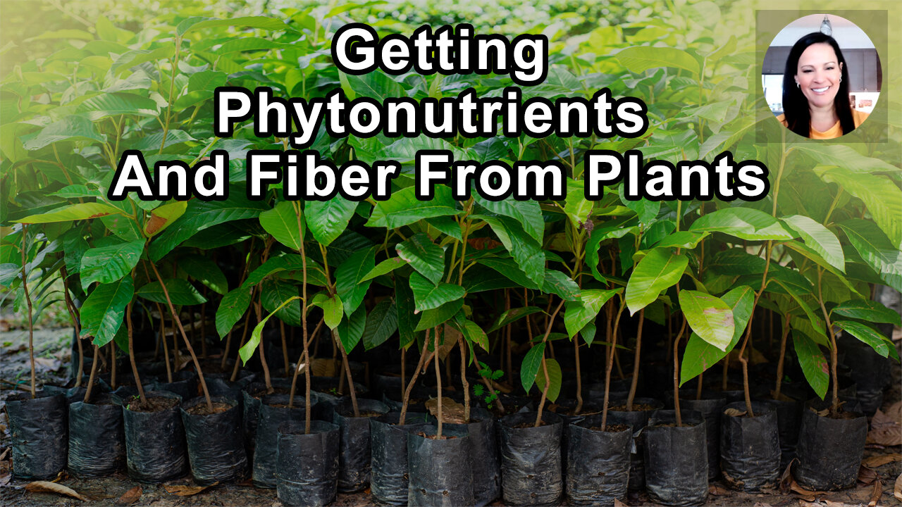 You Only Get Phytonutrients And Fiber From Plants And They're Crucial For Reducing Our Risk For