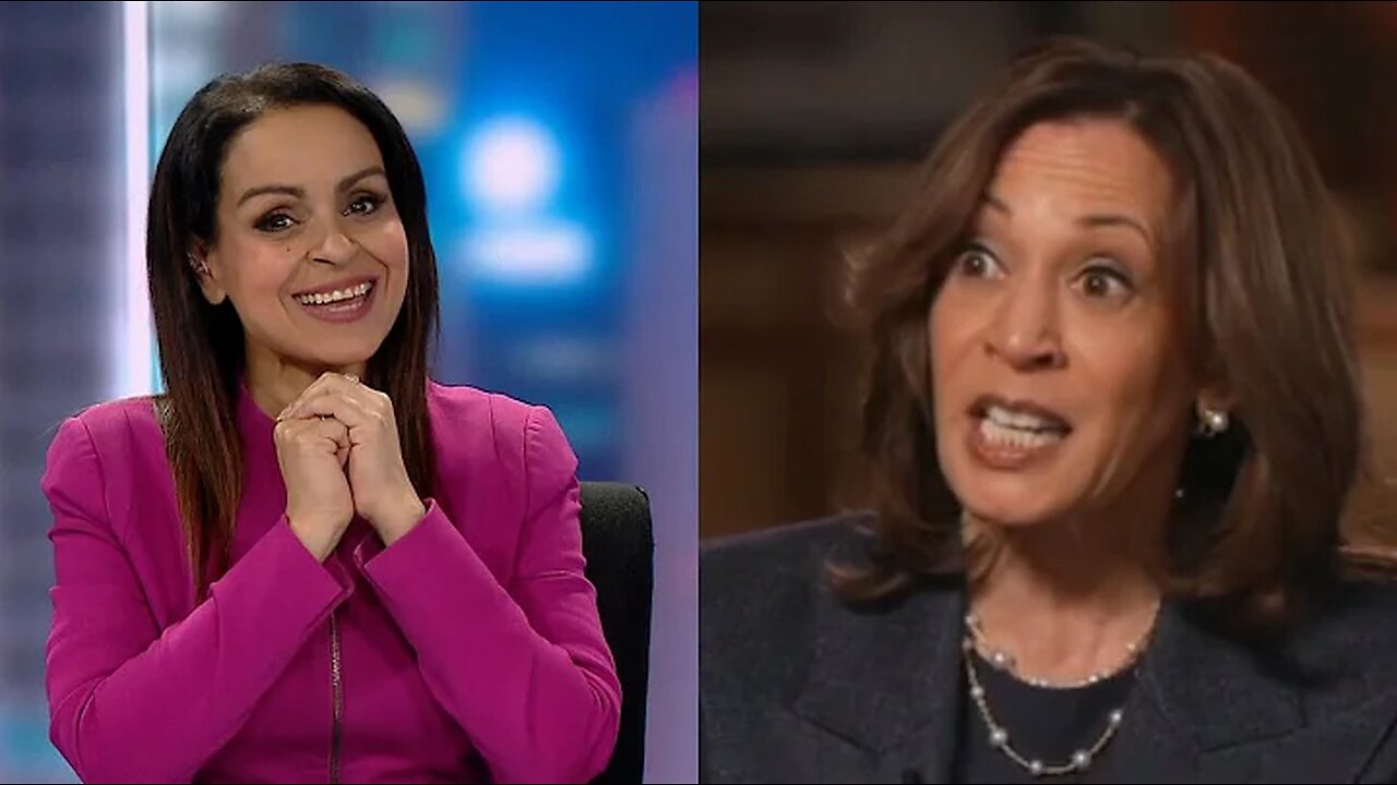 'Disastrous': Rita Panahi's top 5 worst moments of Kamala Harris' Fox News interview