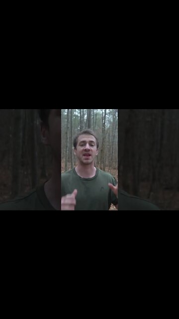 This is the Best Mushroom for Brain Health!