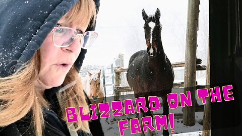 BLIZZARD Disaster On The FARM!