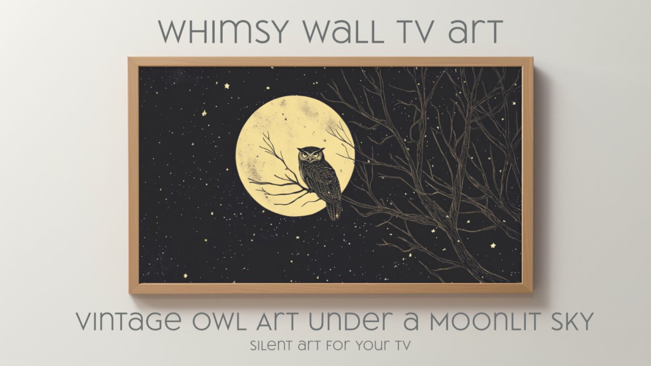 Vintage Owl Art Under a Moonlit Sky: Silent Art For Your TV, Frame TV and CanvasTV style Art in 4K