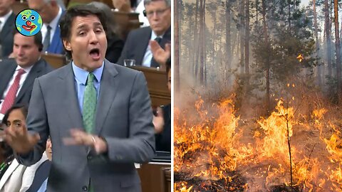 Remember those wildfires? 🔥🤔