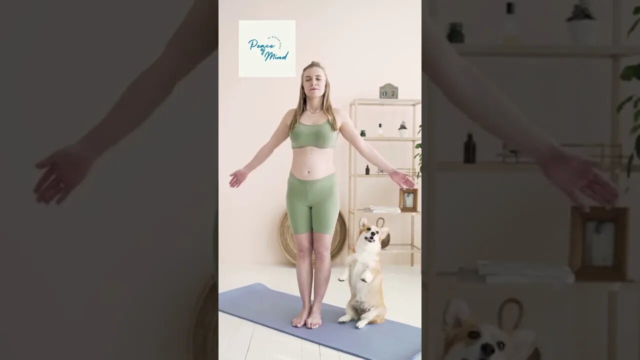 Dog also Like Meditation #yoga #fitness #shorts