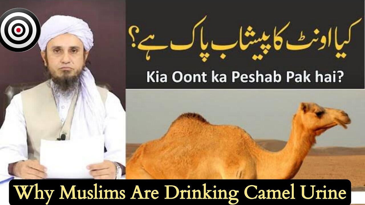 Why Muslims Are Drinking Camel Urine