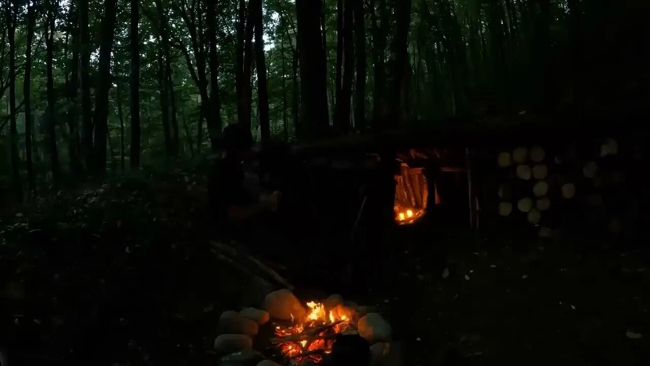 Camping, building wood and rock forest houses and fireplaces, quail cooking - survival, DIY $$ 2