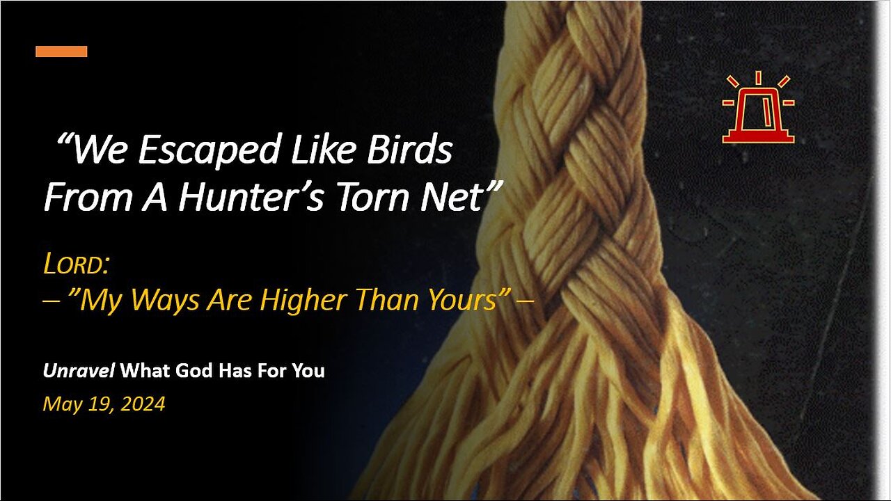 We Escaped Like Birds From A Hunter's Torn Net (May 19, 2024)