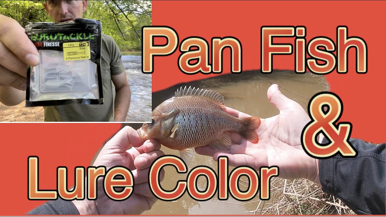 Pan Fish & Lure Color