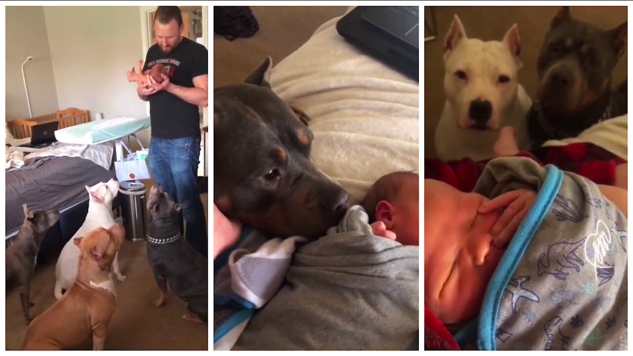 To say they are in love with their new baby is an understatement