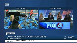 Cat Tails and More donation drive at Sky Zone