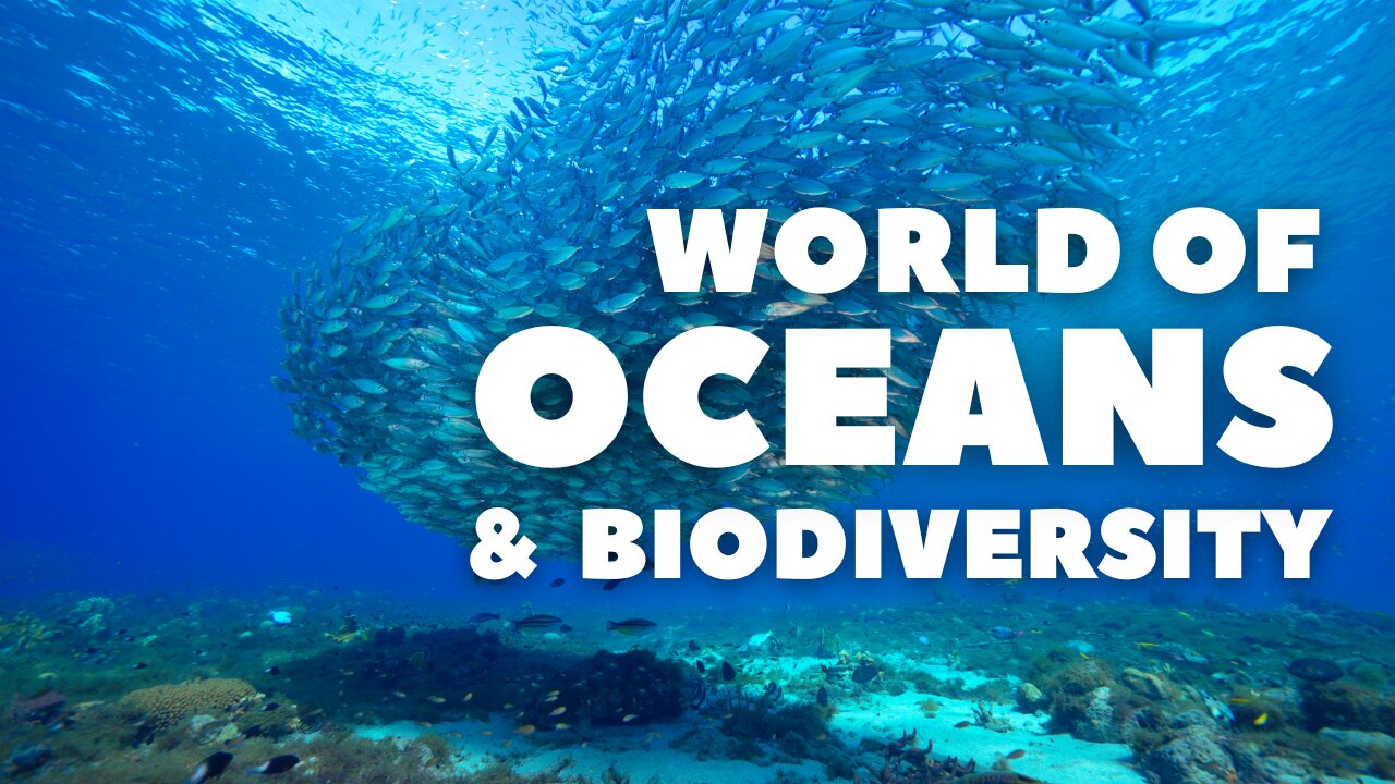 The complex World of Oceans and Its Biodiversity - World of Oceans Part One