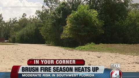 Brush fire season in full swing throughout SWFL