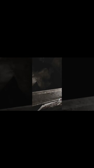 Something Was Hiding Inside Those Containers… #scary #mystery