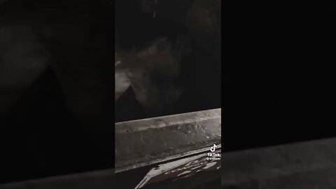 Something Was Hiding Inside Those Containers… #scary #mystery